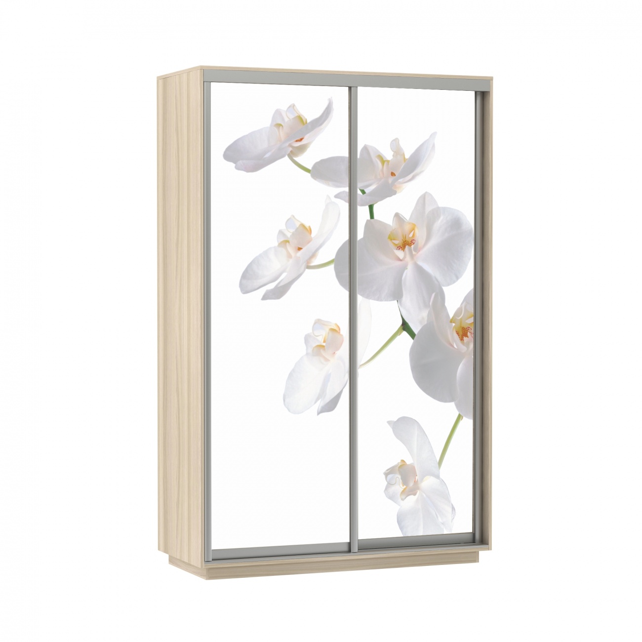 шкаф-купе 2-х дверный 1200 х 2400 орхидея белая «Курс-Мебель»