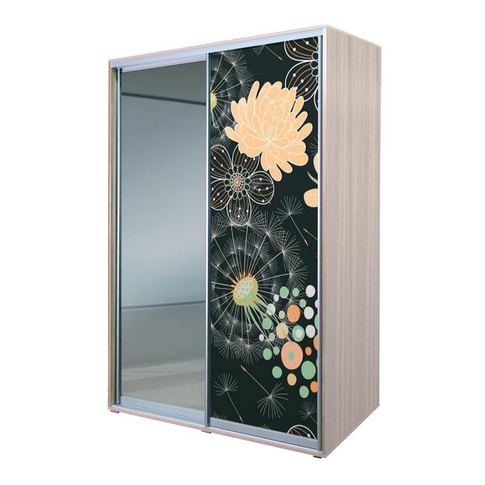 шкаф-купе алеф печать на стекле №28+зеркало 220*160 «Курс-Мебель»