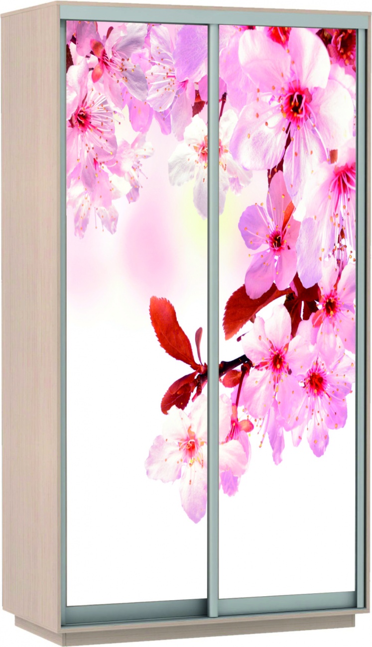 шкаф-купе 2-х дверный с фотопечатью 1600 х 2200 сакура «Курс-Мебель»