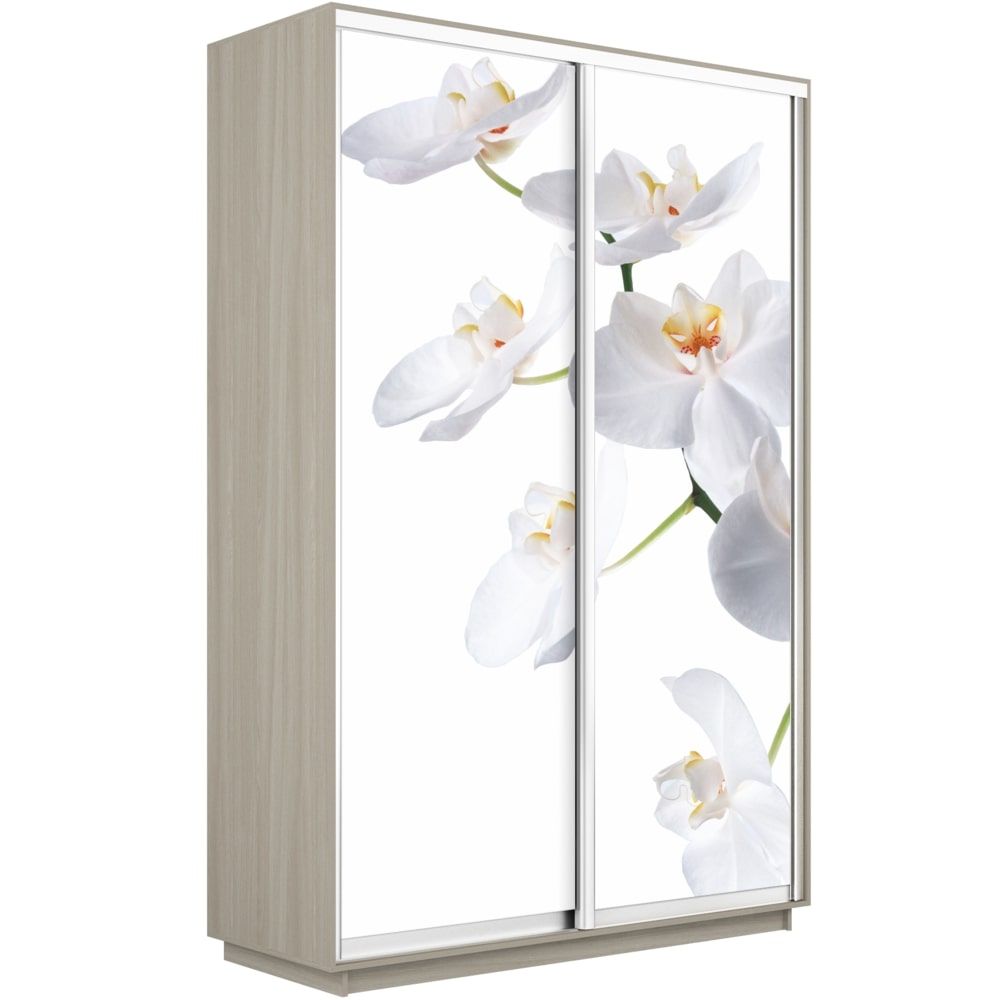 шкаф-купе экспресс с фотопечатью 1200 х 2200 х 600 орхидея белая «Курс-Мебель»