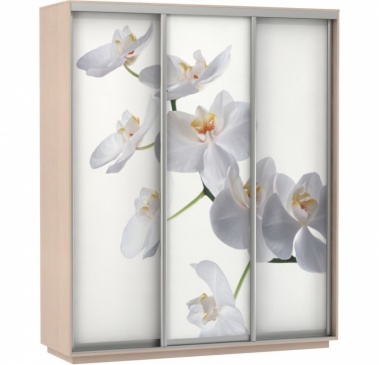 шкаф-купе 3-х дверный с фотопечатью 1800 х 2200 орхидея белая «Курс-Мебель»