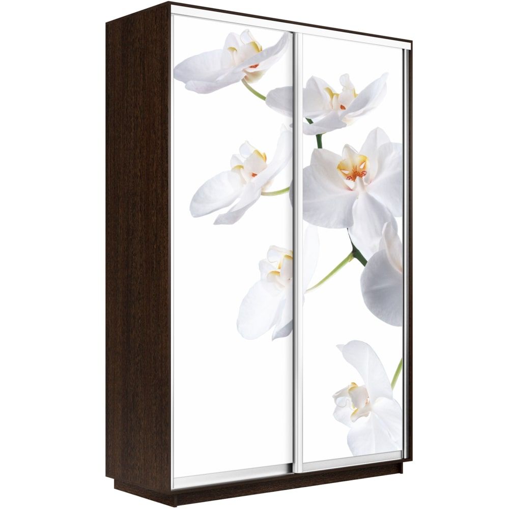 шкаф-купе экспресс с фотопечатью 1600 х 2400 х 600  орхидея белая «Курс-Мебель»