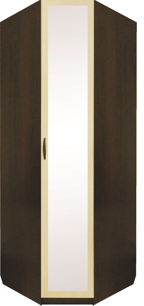 шкаф угловой стандарт 24 с зеркалом «Курс-Мебель»