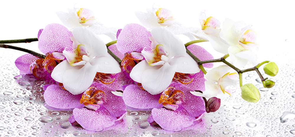 стол паук раздвижной стеклянный орхидея бело-розовая «Курс-Мебель»