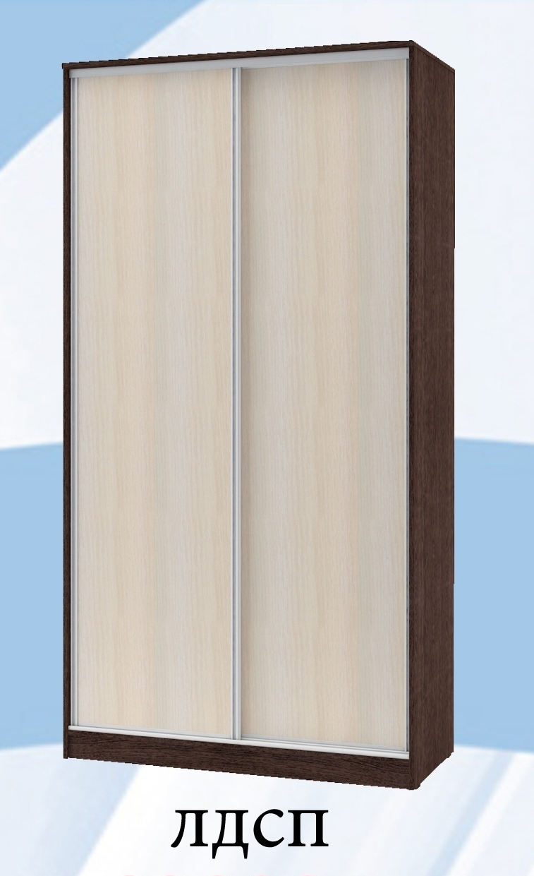 шкаф-купе «техно» 2х дв 1200х600 дд «Курс-Мебель»