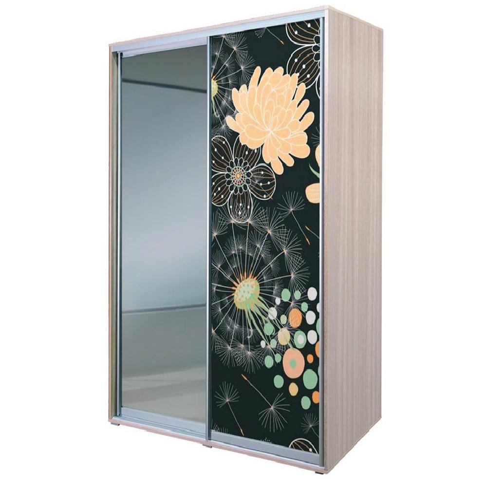 шкаф-купе алеф печать на стекле №28+зеркало 240*120 «Курс-Мебель»