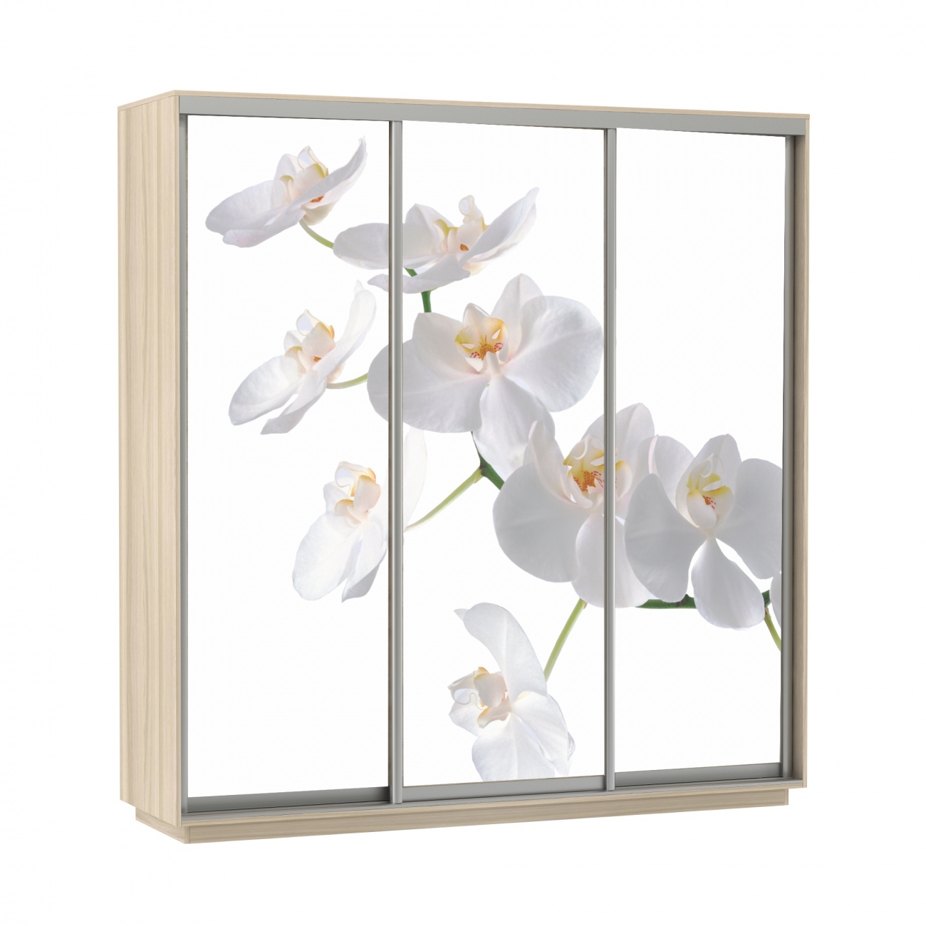 шкаф-купе 3-х дверный с фотопечатью 2400 х 2400 орхидея белая «Курс-Мебель»