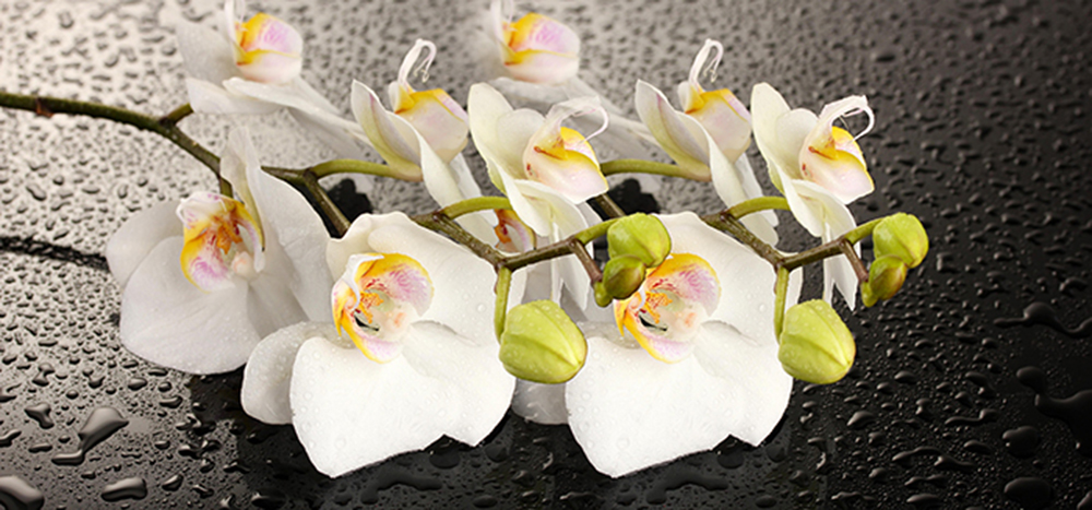 стол паук раздвижной стеклянный орхидея белая «Курс-Мебель»