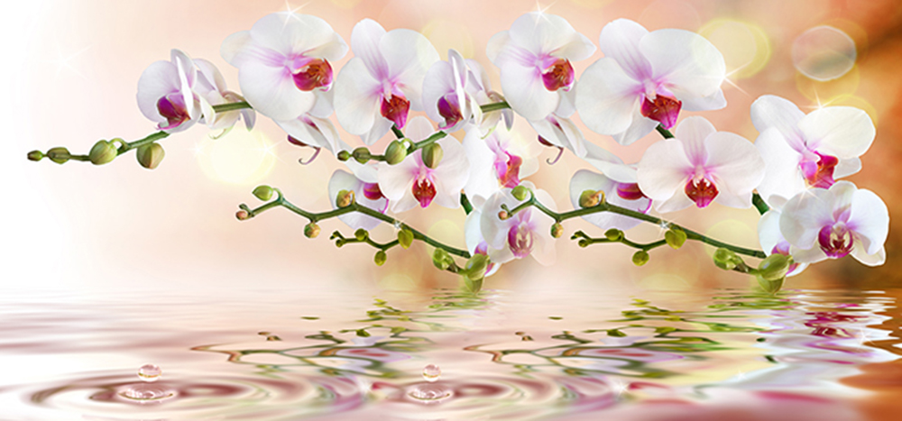 стол паук раздвижной стеклянный орхидея в воде «Курс-Мебель»